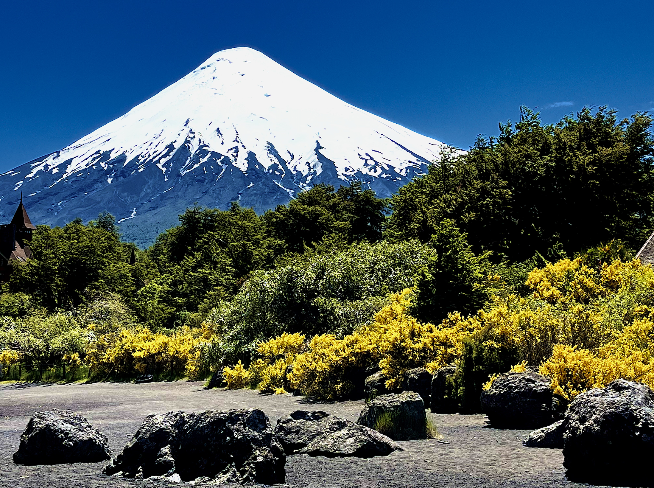 El Protocolo del Despertar